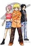 team 7